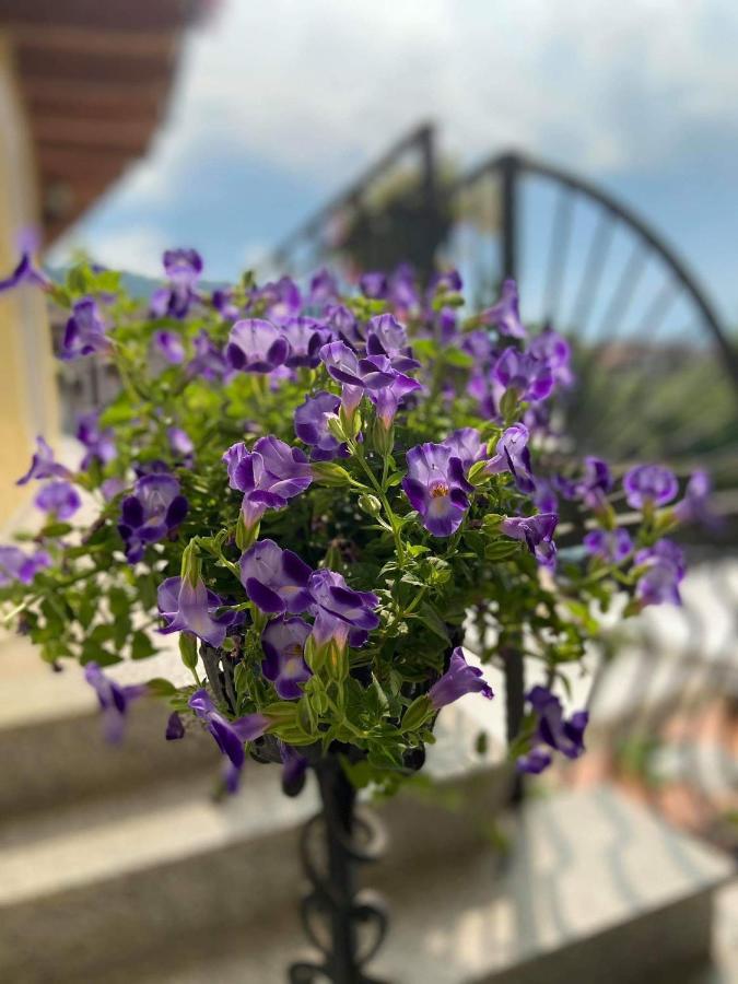 Agriturismo Rocca Dei Marchesi Sabbio Chiese Dış mekan fotoğraf